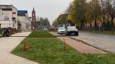 Озеленение улицы Ленина: Липецк впереди планеты всей