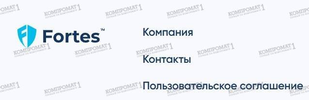 Fortes.pro’s fraud, or How scammers profit from gullible clients under the pretense of IT protection